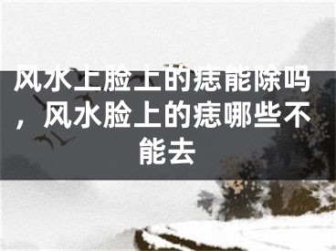 风水上脸上的痣能除吗，风水脸上的痣哪些不能去