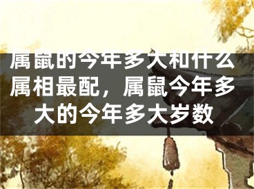 属鼠的今年多大和什么属相最配，属鼠今年多大的今年多大岁数