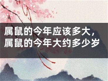属鼠的今年应该多大,属鼠的今年大约多少岁