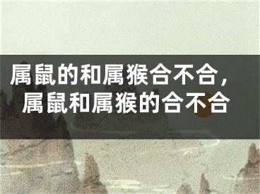 属鼠的和属猴合不合,属鼠和属猴的合不合