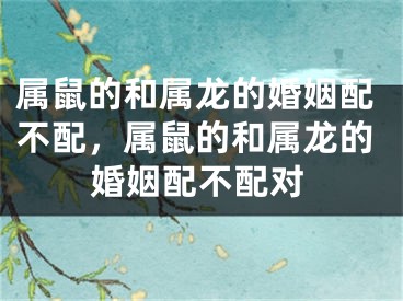 属鼠的和属龙的婚姻配不配，属鼠的和属龙的婚姻配不配对