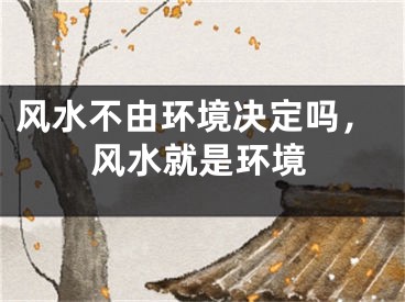 风水不由环境决定吗，风水就是环境