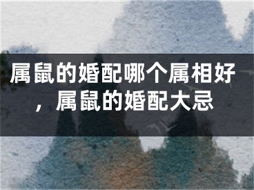 属鼠的婚配哪个属相好，属鼠的婚配大忌