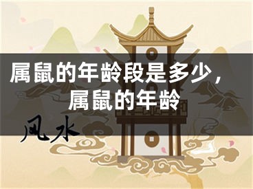 属鼠的年龄段是多少，属鼠的年龄