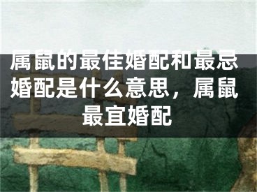 属鼠的最佳婚配和最忌婚配是什么意思，属鼠最宜婚配