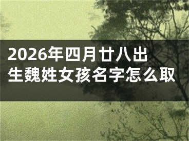 2026年四月廿八出生魏姓女孩名字怎么取
