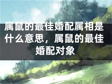 属鼠的最佳婚配属相是什么意思，属鼠的最佳婚配对象