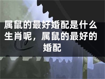 属鼠的最好婚配是什么生肖呢，属鼠的最好的婚配