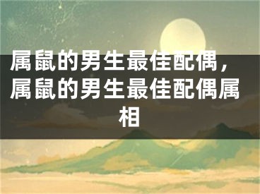 属鼠的男生最佳配偶，属鼠的男生最佳配偶属相