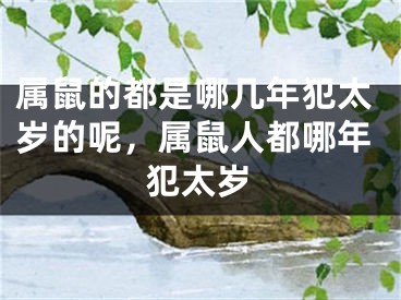 属鼠的都是哪几年犯太岁的呢，属鼠人都哪年犯太岁
