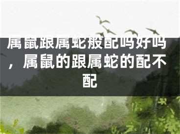 属鼠跟属蛇般配吗好吗，属鼠的跟属蛇的配不配