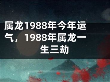 属龙1988年今年运气，1988年属龙一生三劫