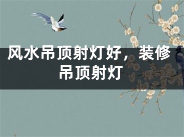 风水吊顶射灯好,装修吊顶射灯