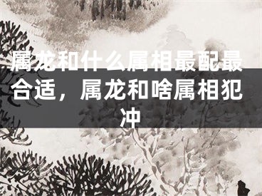 属龙和什么属相最配最合适,属龙和啥属相犯冲