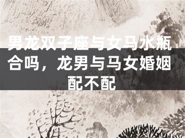 男龙双子座与女马水瓶合吗，龙男与马女婚姻配不配