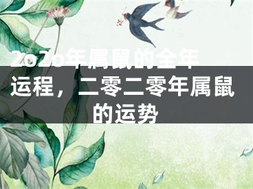 2o2o年属鼠的全年运程，二零二零年属鼠的运势