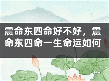 震命东四命好不好，震命东四命一生命运如何