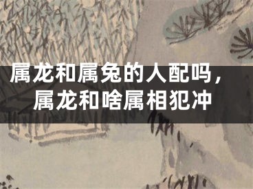 属龙和属兔的人配吗，属龙和啥属相犯冲