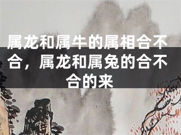 属龙和属牛的属相合不合,属龙和属兔的合不合的来
