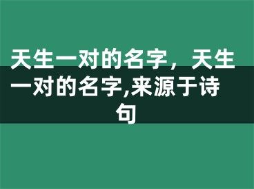 天生一对的名字，天生一对的名字,来源于诗句