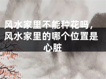 风水家里不能种花吗，风水家里的哪个位置是心脏