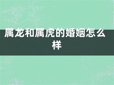 属龙和属虎的婚姻怎么样