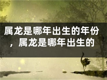 属龙是哪年出生的年份，属龙是哪年出生的