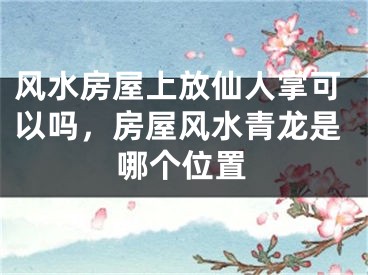 风水房屋上放仙人掌可以吗,房屋风水青龙是哪个位置