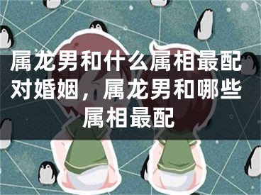 属龙男和什么属相最配对婚姻,属龙男和哪些属相最配
