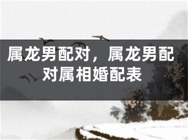 属龙男配对，属龙男配对属相婚配表