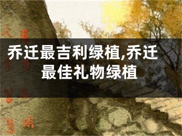 乔迁最吉利绿植,乔迁最佳礼物绿植