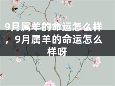 9月属羊的命运怎么样，9月属羊的命运怎么样呀