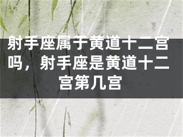 射手座属于黄道十二宫吗，射手座是黄道十二宫第几宫