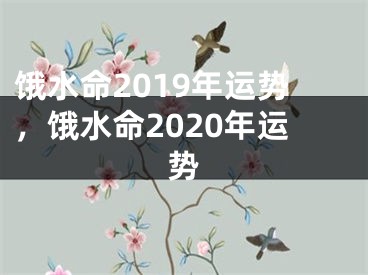 饿水命2019年运势，饿水命2020年运势