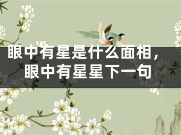 眼中有星是什么面相，眼中有星星下一句