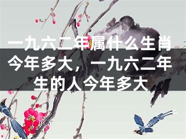 一九六二年属什么生肖今年多大，一九六二年生的人今年多大