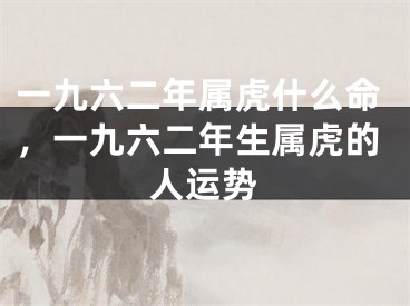一九六二年属虎什么命,一九六二年生属虎的人运势