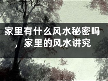 家里有什么风水秘密吗，家里的风水讲究