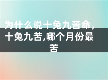 为什么说十兔九苦命，十兔九苦,哪个月份最苦