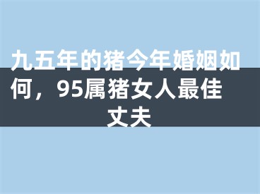 九五年的猪今年婚姻如何，95属猪女人最佳丈夫