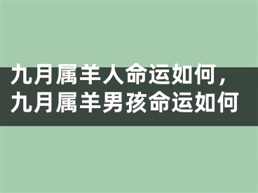 九月属羊人命运如何，九月属羊男孩命运如何