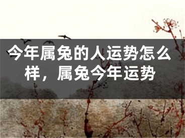 今年属兔的人运势怎么样，属兔今年运势