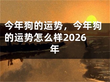 今年狗的运势，今年狗的运势怎么样2026年