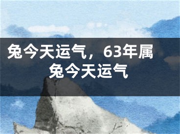 兔今天运气，63年属兔今天运气