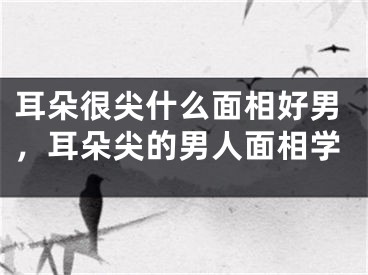 耳朵很尖什么面相好男，耳朵尖的男人面相学