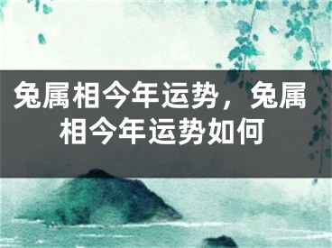 兔属相今年运势，兔属相今年运势如何