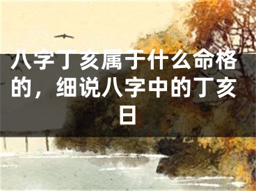 八字丁亥属于什么命格的，细说八字中的丁亥日