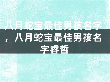 八月蛇宝最佳男孩名字，八月蛇宝最佳男孩名字睿哲