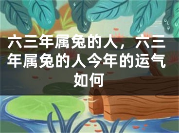六三年属兔的人，六三年属兔的人今年的运气如何