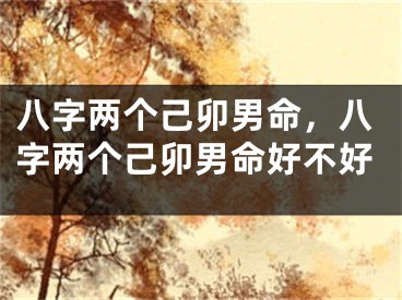 八字两个己卯男命，八字两个己卯男命好不好